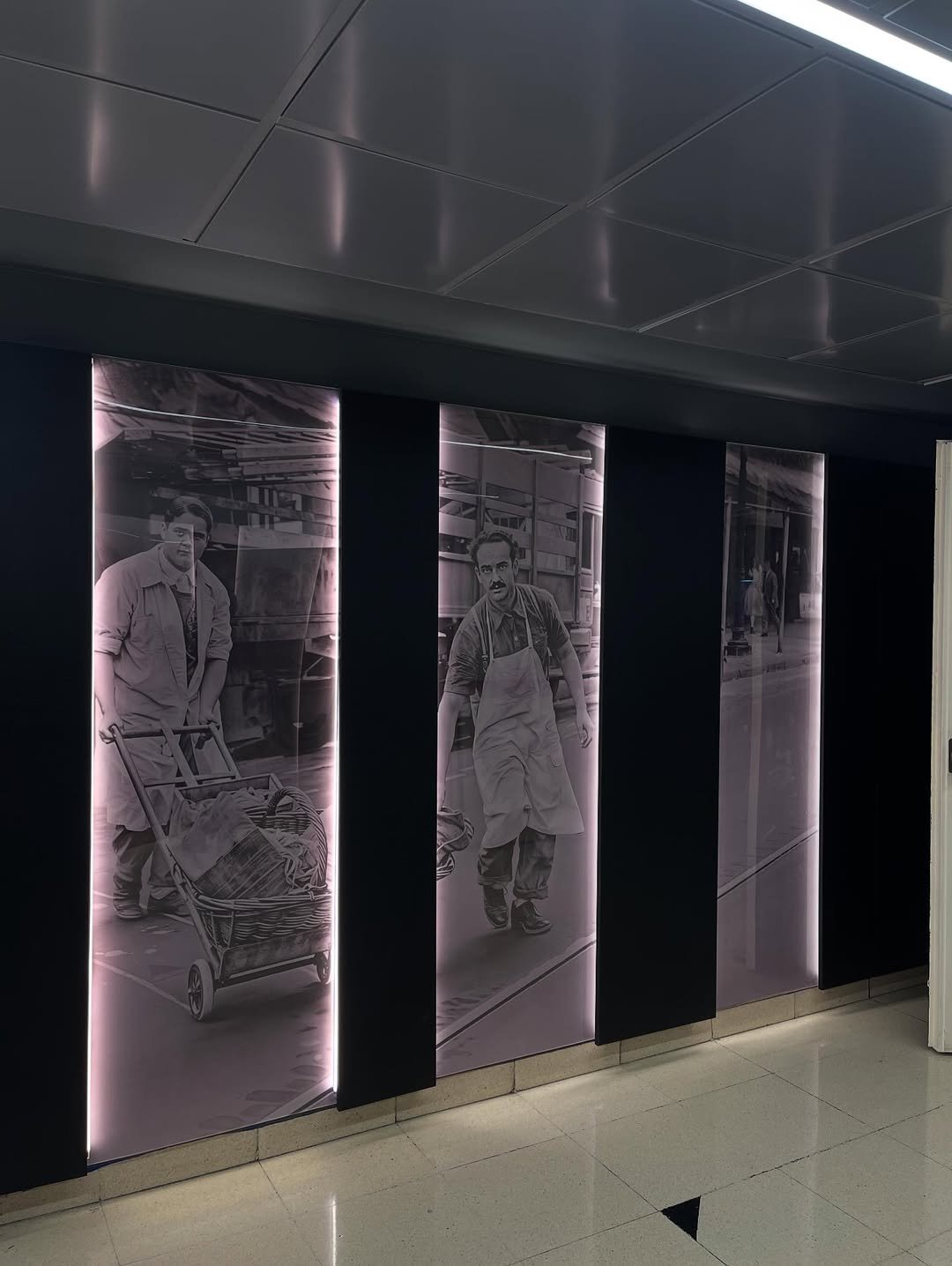 SaveGram.App_522688828_17886212220327260_3165167725950741545_n