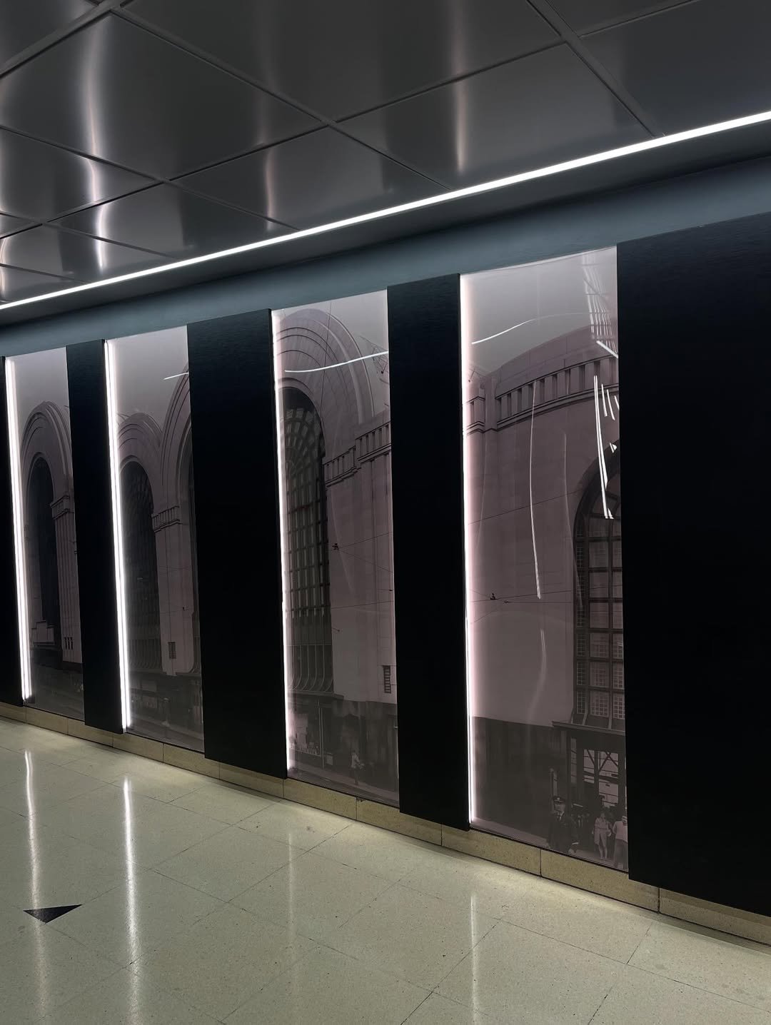 SaveGram.App_523866811_17886212229327260_6338585335727156983_n